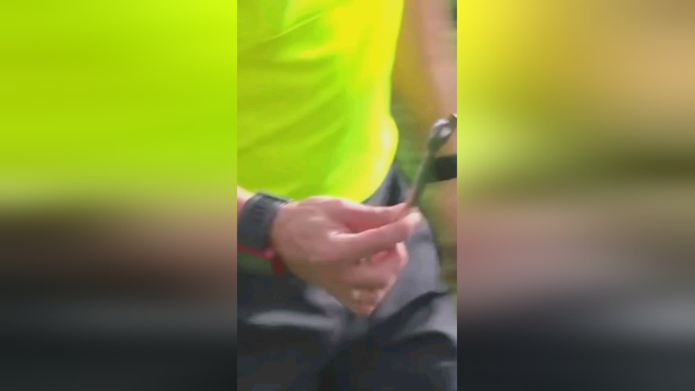 年接手匈牙