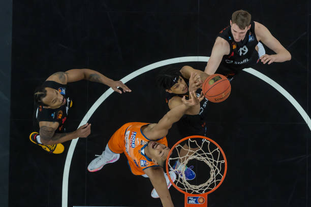 将决定他们 将决定他们